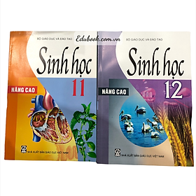 Combo Sách Sinh Học Nâng Cao (Lớp 11 + Lớp 12)