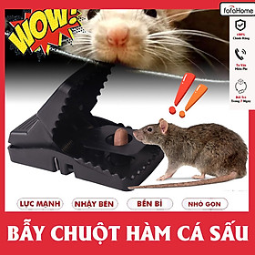 Mua Bẫy Chuột Thông Minh Hàm Cá Sấu  Bẫy Được Các Loại Chuột Nhỏ Và Vừa - Bẫy Chuột Mini Tiện Lợi - Bẫy Chuột Đen Thông Minh Siêu Nhạy