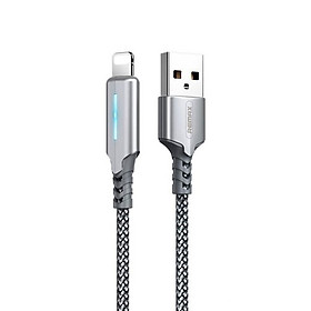 Mua Cáp sạc tự ngắt chống đứt Lightning & Type-C Remax RC-123 - Hàng chính hãng