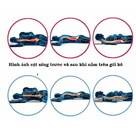 Mua (Bộ 2 ) Gối hỗ trợ cột sống cổ và gối kê thắt lưng khi ngủ