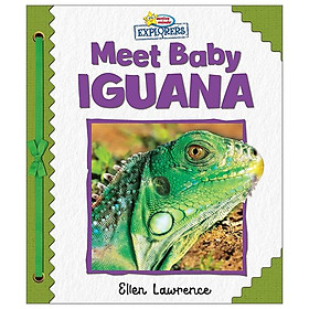 Sách ngoại văn: Active Minds Explorers - Meet Baby Iguana - Phoenix International Publications Ltd
