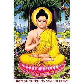 Mua Tranh Phật Thích Ca Mâu Ni  tranh GỖ treo tường Đức Phật tọa thiền