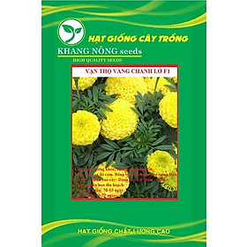 Hạt giống hoa Vạn Thọ vàng chanh Lở F1 KNS3681 - Gói 30 hạt