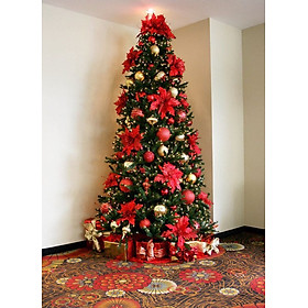 Bộ cây thông Noel và phụ kiện trang trí cây thông giáng sinh ctne11