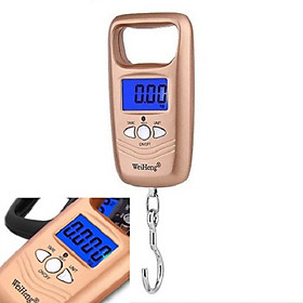 Mua Cân Điện Tử Độ Chính Xác Cao Mini Dạng Móc Treo Trọng Lượng 50kg/10g WH-A17L