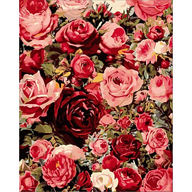 Mua Tranh tô màu theo số Tranh sơn dầu số hoá hình hoa size 30*40cm kèm khung