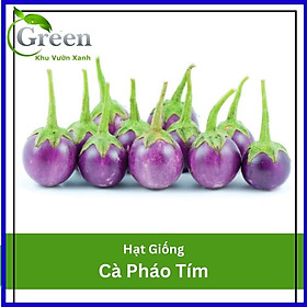 Hạt Giống Cà Pháo Tím Sai Trái