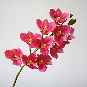 Cành hoa địa lan cao su 10 bông cao cấp đủ màu