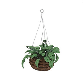Miniature Green Hanging Planter Rattan Basket Dolls House Garden Accessory