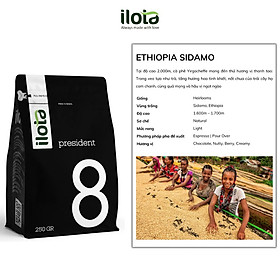 Cà phê Ethiopia Sidamo ILOTA Rang Mộc 250g/500g