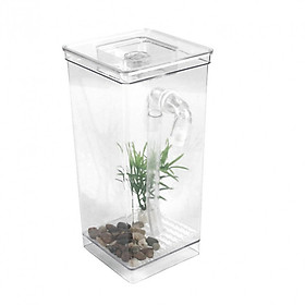 Bể Cá Mini Thay Nước Tự Động