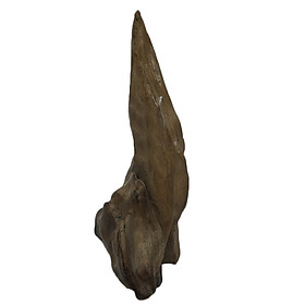 Mua Gỗ lũa ngọc am tự nhiên phong thủy Mã 26 (28cm x 15cm)