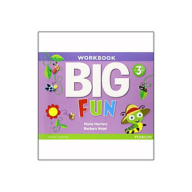 Big Fun 3 Workbook with Audio CD