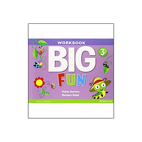 Big Fun 3 Workbook with Audio CD