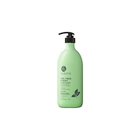 Sản phẩm dầu gội và dầu xả LUSETA Tea Tree & Mint 1000ml