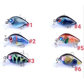 Mồi ruồi 3D - chuyên bắt rô phi,rô ta, chuối, thiểu, ngão,sộp,chim đồ câu FISHING_HD