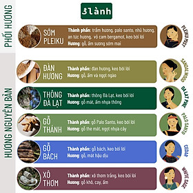 Nụ Thủ Công 3 Lành Hộp 20 Nụ Nhiều Mùi 100 % Tự Nhiên Tặng Kèm Đế Chăm Không Hóa Chất Xông Thơm