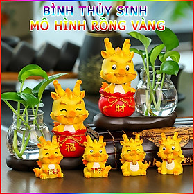 Tượng Rồng Vàng Nhiều Mẫu Có Đế Và Bình Thủy Sinh May Mắn Trồng Cây, Nuôi Cá