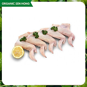 Chỉ Giao HCM - Cánh gà đông lạnh 500gr