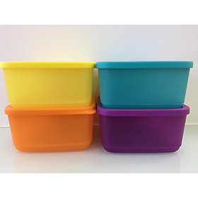 Hộp nhựa Tupperware Summer Fresh