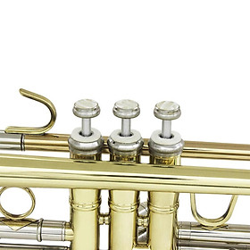 2-4pack Set of 10 Pieces Trumpet  Stem Felt Washers White