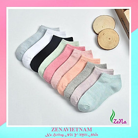Tất Vớ Nữ Cổ Ngắn Basic Cotton Trơn Hàn Quốc Nhiều Màu Đơn Giản T02