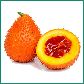 Gấc Tươi