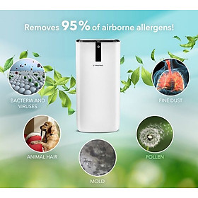 Mua MÁY LỌC KHÔNG KHÍ TROTEC AIRGOCLEAN 15 E (30m2) Hàng chính hãng