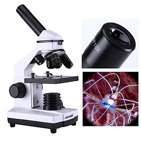 Mua Kính hiển vi sinh học kỹ thuật số một mắt phóng đại 1600X công nghệ cao  hiện đại dùng trong y học - nghiên cứu đa năng (Tặng 4 nút kẹp giữ dây điện bằng silicon- giao màu ngẫu nhiên)