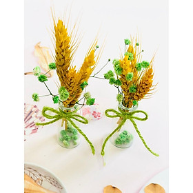 Mua Lọ Bông Lúa Mạch may mắn - Lọ hoa khô