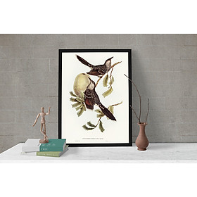 Tranh Canvas Động vật Chim Chích cao cấp. , Khung hợp nhôm chống ẩm, bền, đẹp, nhiều kích thước. Phù hợp nhiều không gian sang trọng