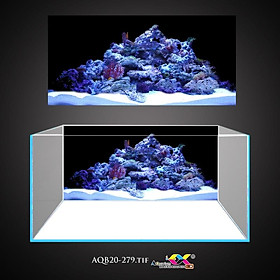 Mua Tranh 3D Koifish  Tranh Dán Bể Cá  Rồng ngậm viên ngọc   in tranh theo kích thước yêu cầu