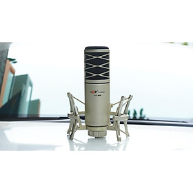 Mua Micro thu âm AQTA AT-808 - Thiết kế sang trọng  cao cấp - Chống hú  chống nhiễu  lọc âm cực tốt - Micro thu âm cao cấp
