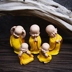 Mua Combo 5 chú tiểu dễ thương