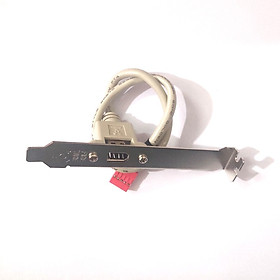 Mua Cổng chuyển từ USB Port 9 Pin sang cổng 1394 Hỗ trợ 1394B Firewire