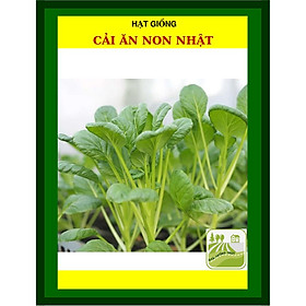 Mua 20G - Hạt Giống Rau Cải Ngọt Ăn Non JAPONICA