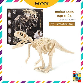 [Có sẵn] Mô hình Khủng Long hóa thạch - truy tìm dấu vết hóa thạch