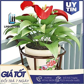 Mua Giá treo cây cảnh vườn  ban công