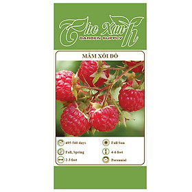 Bộ gói hạt giống dâu ta đỏ(mâm xôi)(phúc bồn tử)
