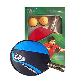 Vợt bóng bàn 729 - 2020