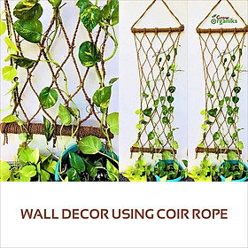 Mua Dây xơ dừa 5mm cho giàn cây leo