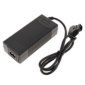 Battery D Power Adapter 16.8V 3A for   Camera