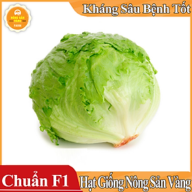 Hạt giống Xà Lách Mỹ Minetto ( Gói 2 Gram ) - Nông Sản Vàng