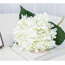 Mua Hoa giả trang trí - Hoa cẩm tú cầu giả bông lớn cành dài 50cm  đường kính bông 20cm.