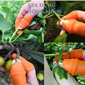 Mua Bộ dụng cụ bấm nhặt rau củ quả tiện tích