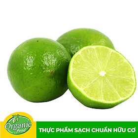 Chỉ Giao HCM - Chanh không hạt Organicfood - 300g