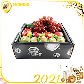 Hộp quà Tết TERRISA Signature Đoàn Viên 8 (Hộp 2.5 Kg - Kiwi New Zealand, Táo Mỹ, Nho Mỹ)
