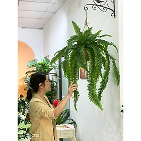 GIỎ DƯƠNG XỈ TREO TRANG TRÍ TIỂU CẢNH - CC543