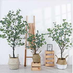 Mua Cây Giả - Cây Bạch đàn giả cao 1m5 kèm chậu cói