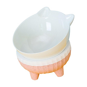 Tilted Cat Bowl Elevated Pet Feeding with Stand Feeder